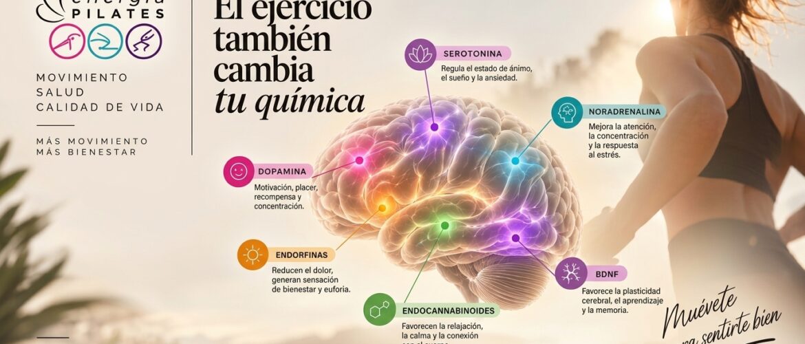 el ejercicio también cambia tu química