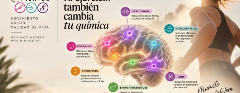 el ejercicio también cambia tu química